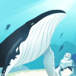 hello whale idle aquarium