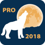 lunar calendar pro