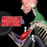 strength training by muscle and motion