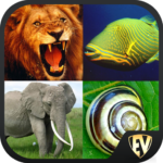 animal encyclopedia complete reference guide free