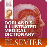 dorlands illustrated medical dictionary