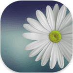 gallery lite no ads