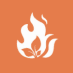 wildfire fire map info