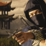 ninja assassins fighter