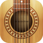 real guitar acoustic electric