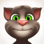 talking tom cat